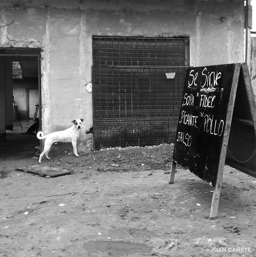 exposicion fotogarfica